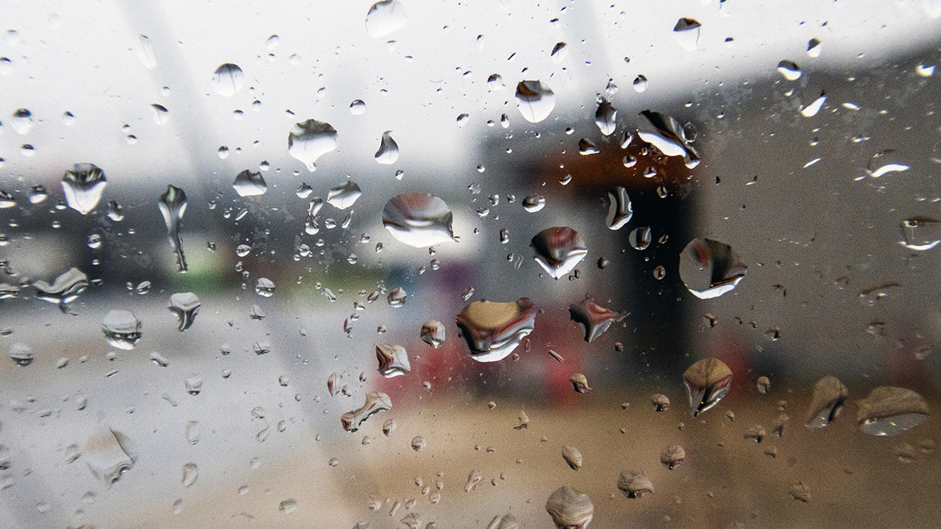 この日の午後に大雨警報が発表され、横殴りの大雨が降りました。ガラス窓に点々と張りついた雨粒ひとつひとつにも、逆さに歪んだ向こう側の風景が映り込み、レンズのように見えていました。